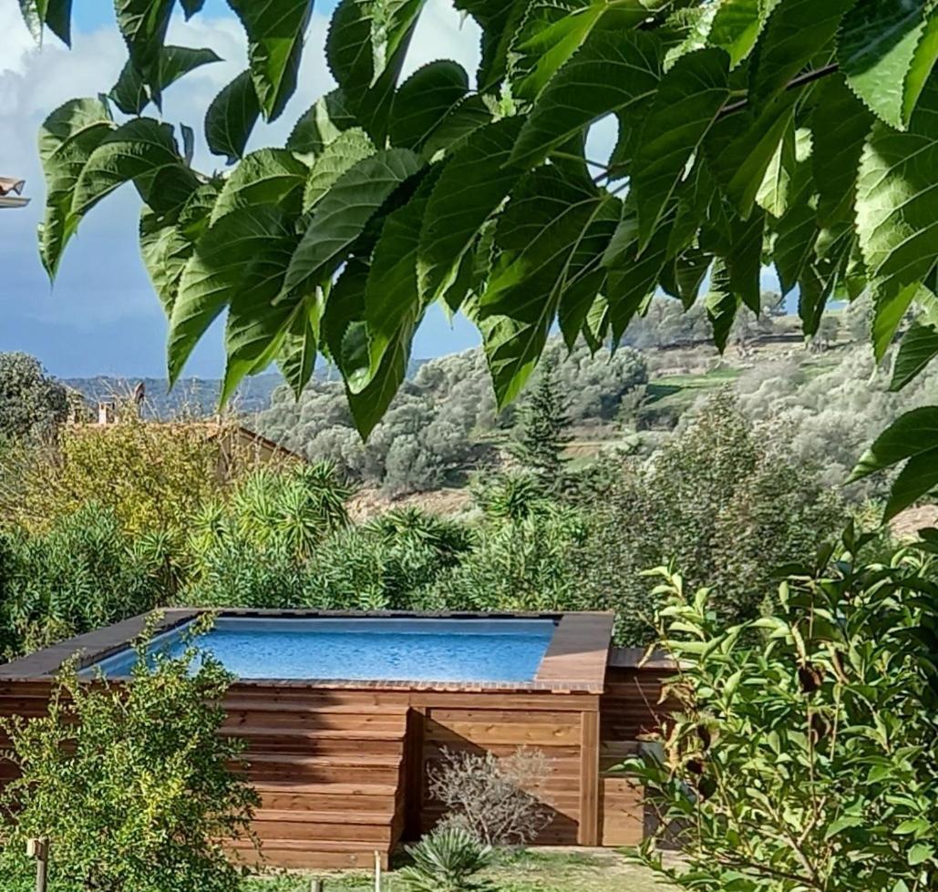 L'Amandier -Le Figuier-Les Lauriers Roses Ajaccio  Exterior foto